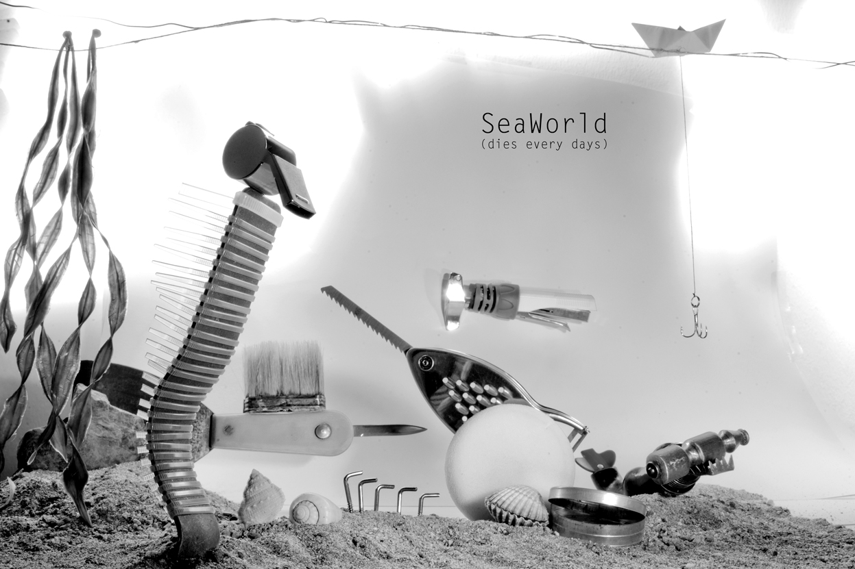 SeaWorld dies every days